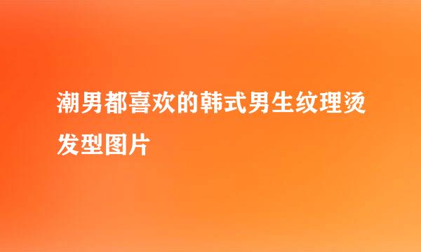 潮男都喜欢的韩式男生纹理烫发型图片