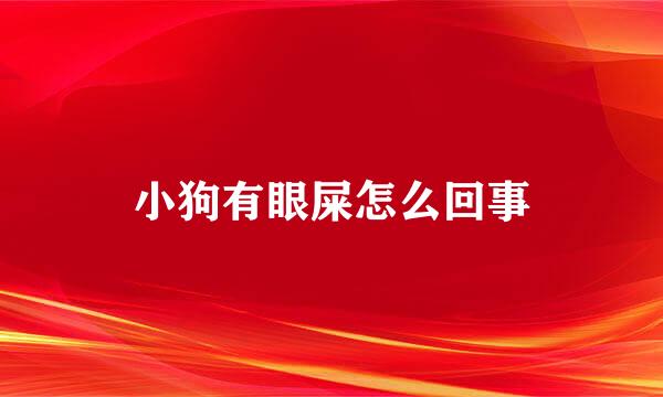 小狗有眼屎怎么回事