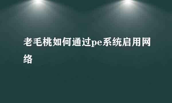 老毛桃如何通过pe系统启用网络