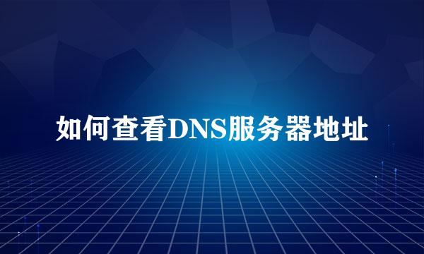 如何查看DNS服务器地址