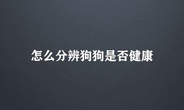 怎么分辨狗狗是否健康