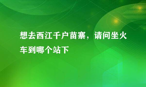 想去西江千户苗寨，请问坐火车到哪个站下