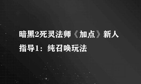 暗黑2死灵法师《加点》新人指导1：纯召唤玩法