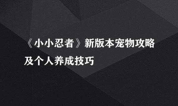 《小小忍者》新版本宠物攻略及个人养成技巧