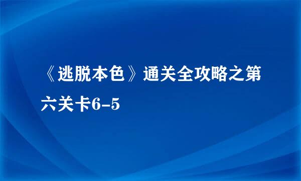 《逃脱本色》通关全攻略之第六关卡6-5