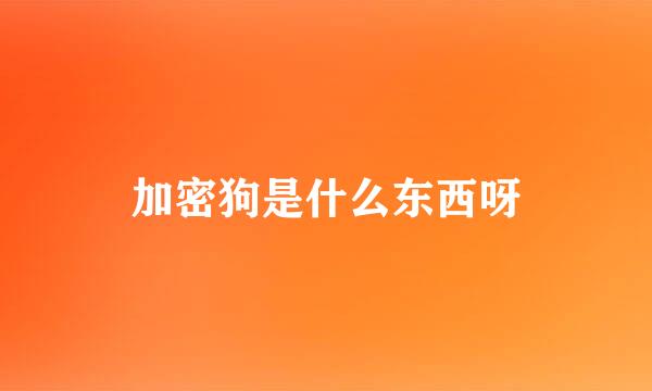 加密狗是什么东西呀