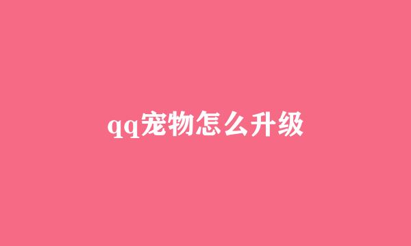 qq宠物怎么升级