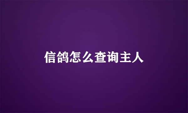 信鸽怎么查询主人