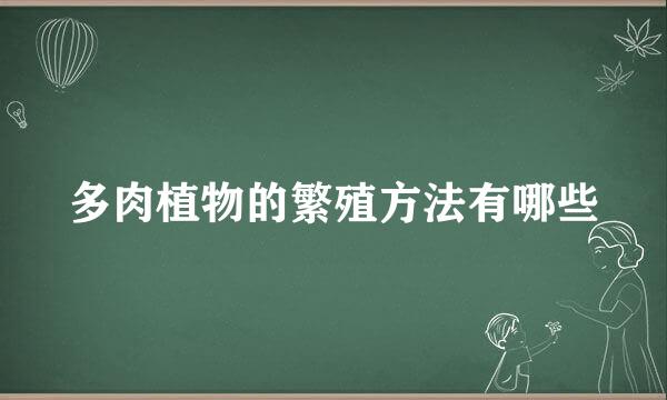 多肉植物的繁殖方法有哪些