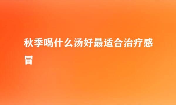 秋季喝什么汤好最适合治疗感冒