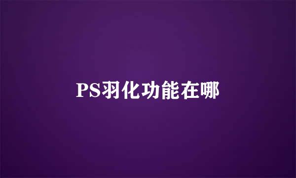 PS羽化功能在哪