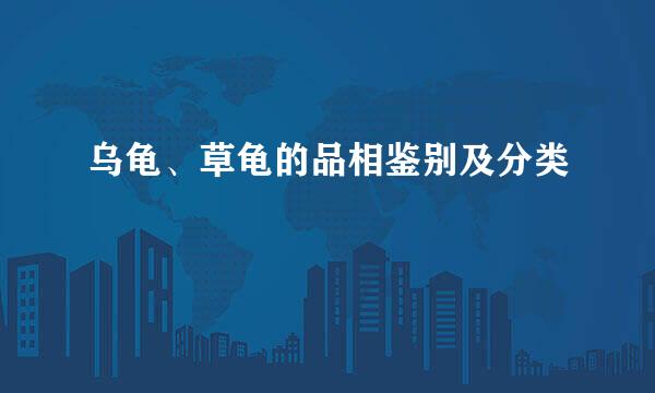 乌龟、草龟的品相鉴别及分类