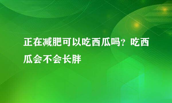 正在减肥可以吃西瓜吗？吃西瓜会不会长胖