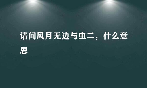 请问风月无边与虫二，什么意思