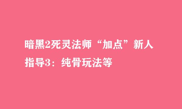 暗黑2死灵法师“加点”新人指导3：纯骨玩法等