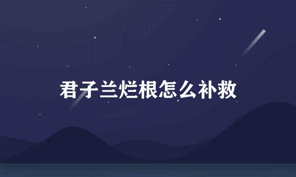 君子兰烂根怎么补救