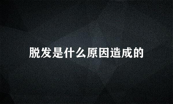 脱发是什么原因造成的