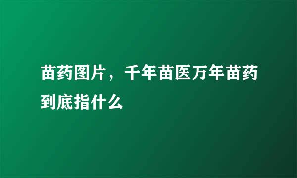 苗药图片，千年苗医万年苗药到底指什么