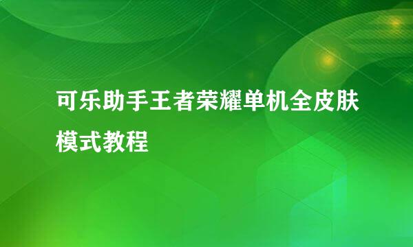 可乐助手王者荣耀单机全皮肤模式教程