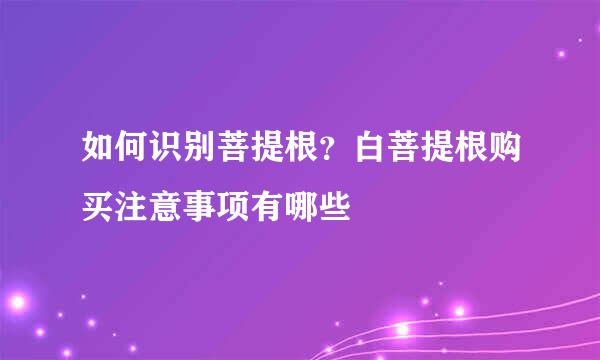 如何识别菩提根？白菩提根购买注意事项有哪些