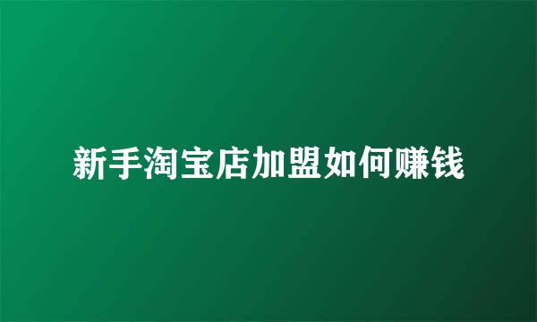 新手淘宝店加盟如何赚钱