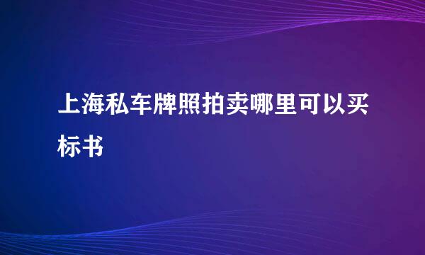 上海私车牌照拍卖哪里可以买标书