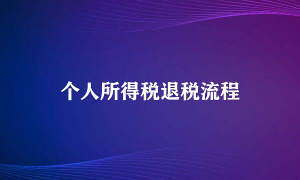 个人所得税退税流程