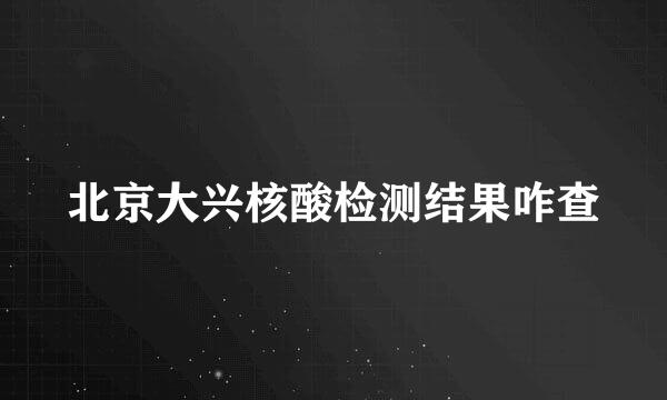 北京大兴核酸检测结果咋查