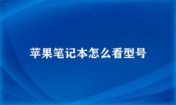 苹果笔记本怎么看型号