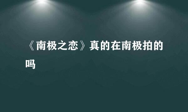 《南极之恋》真的在南极拍的吗