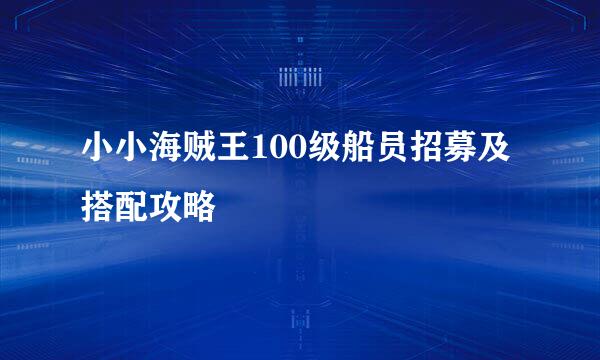 小小海贼王100级船员招募及搭配攻略