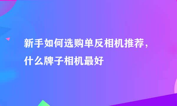 新手如何选购单反相机推荐，什么牌子相机最好