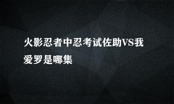 火影忍者中忍考试佐助VS我爱罗是哪集