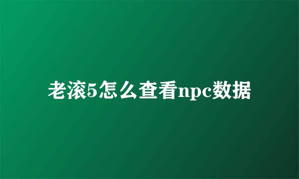 老滚5怎么查看npc数据