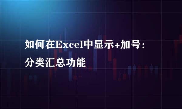 如何在Excel中显示+加号：分类汇总功能