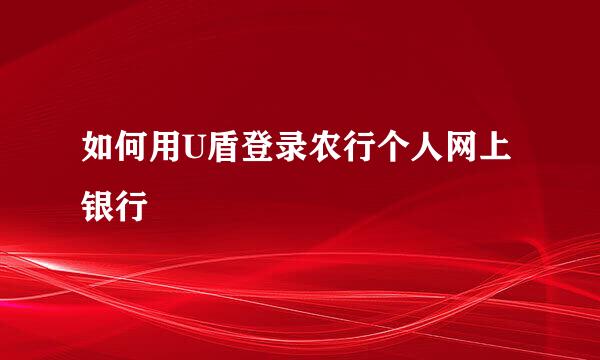 如何用U盾登录农行个人网上银行