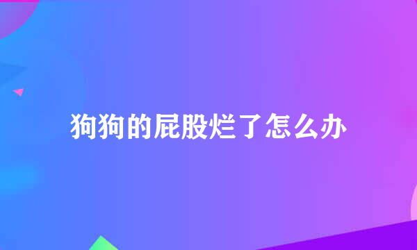 狗狗的屁股烂了怎么办