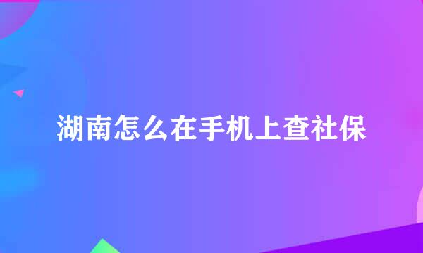 湖南怎么在手机上查社保