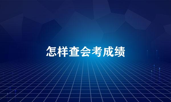 怎样查会考成绩