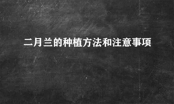 二月兰的种植方法和注意事项