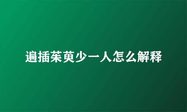 遍插茱萸少一人怎么解释