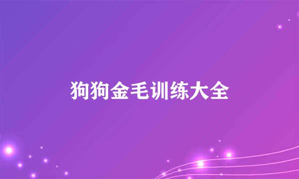 狗狗金毛训练大全