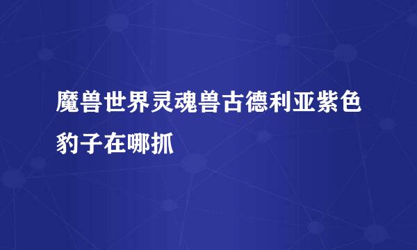 魔兽世界灵魂兽古德利亚紫色豹子在哪抓