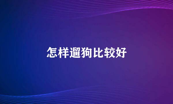 怎样遛狗比较好