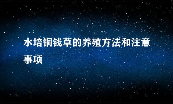 水培铜钱草的养殖方法和注意事项