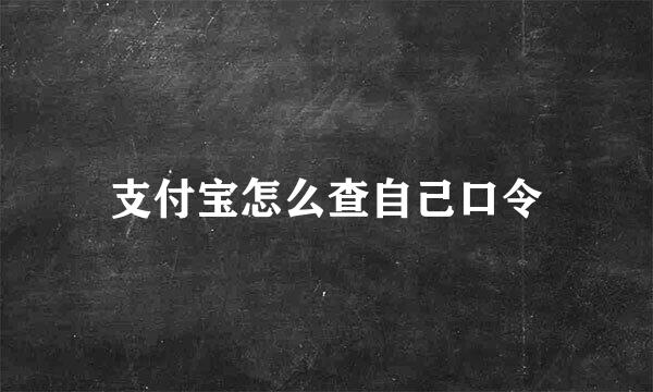 支付宝怎么查自己口令