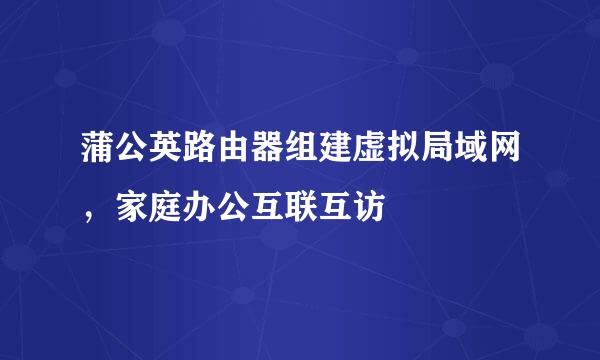 蒲公英路由器组建虚拟局域网，家庭办公互联互访