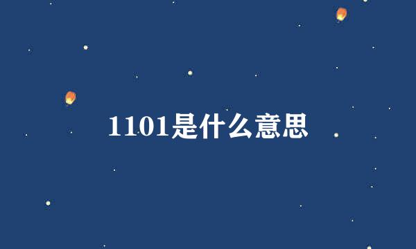 1101是什么意思