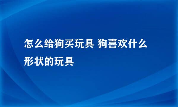 怎么给狗买玩具 狗喜欢什么形状的玩具