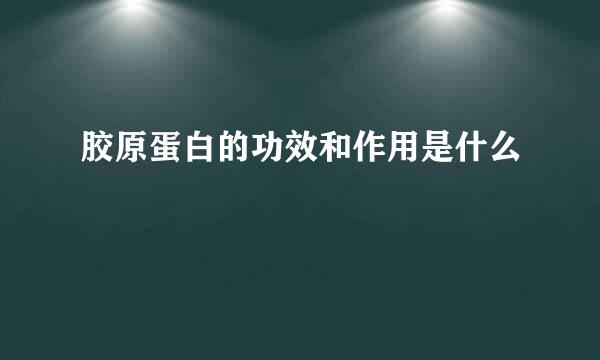 胶原蛋白的功效和作用是什么